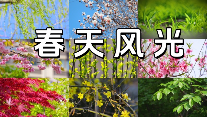 春天来了 春暖花开 户外自然