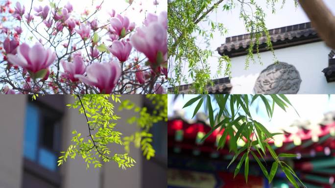 春天来了 春暖花开 户外自然