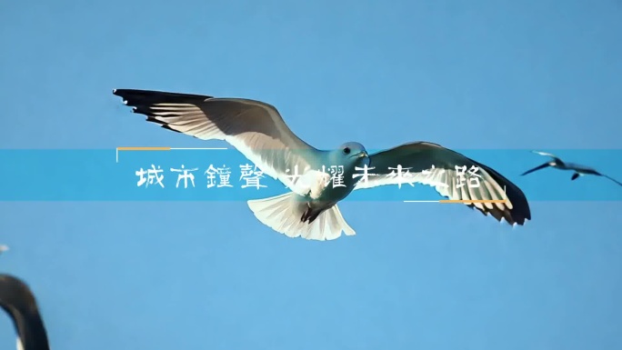 高端大气快闪混剪城市地产宣传片片头模板