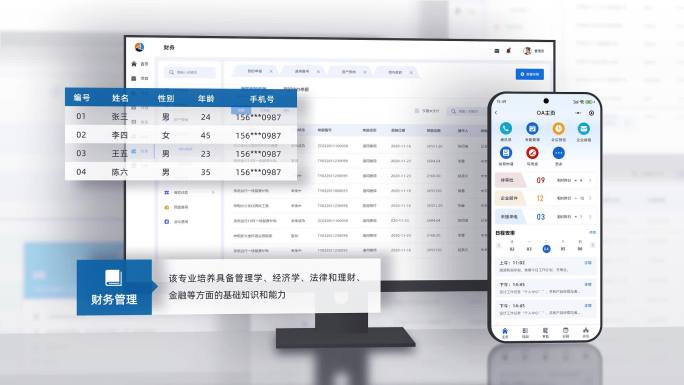 手机电脑软件平台办公系统功能描述界面包装