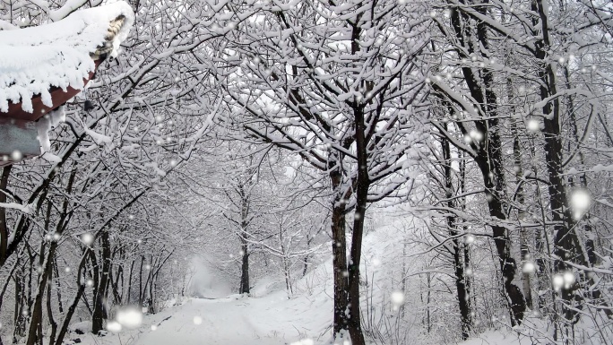 4K瑞雪覆盖下的森林冬日屋檐飞雪