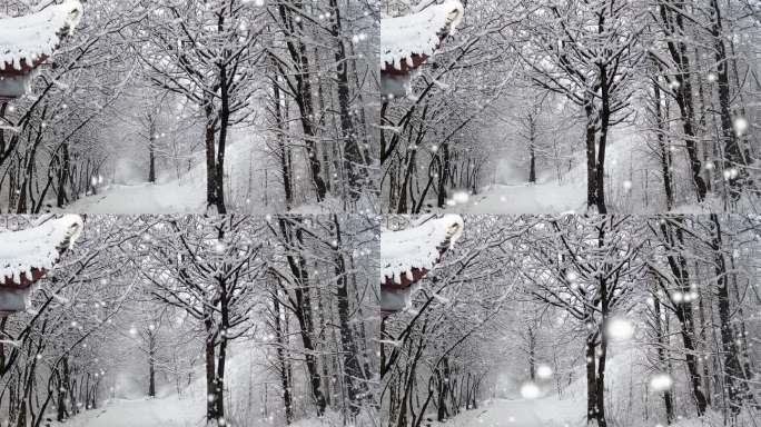 4K瑞雪覆盖下的森林冬日屋檐飞雪