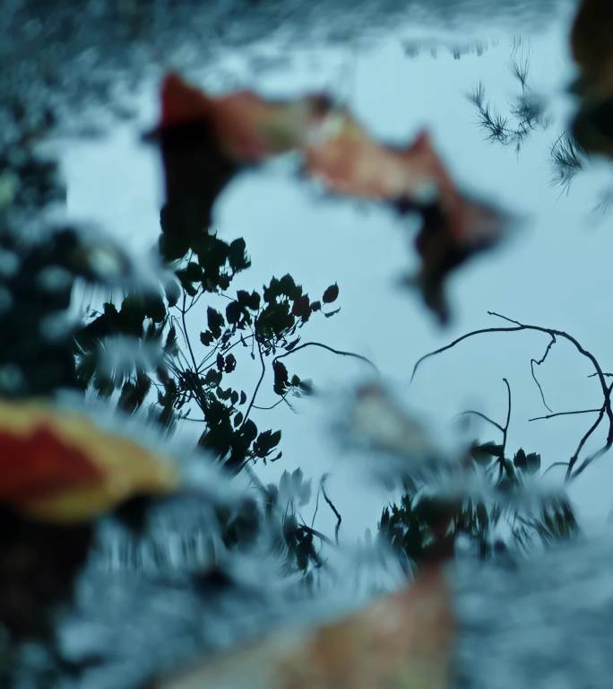 下雨天竖屏下雨竖版雨竖拍雨天小雨唯美意境