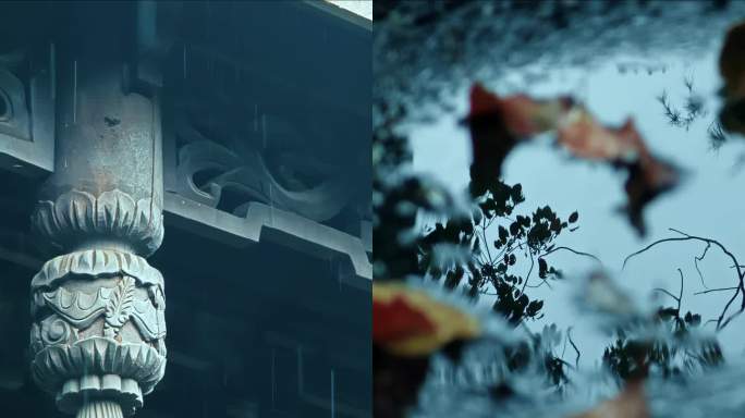 下雨天竖屏下雨竖版雨竖拍雨天小雨唯美意境