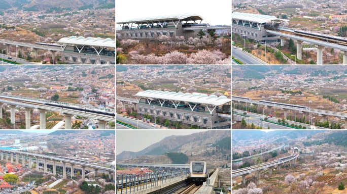 青岛地铁 春季列车行驶过崂山庙石樱桃花海