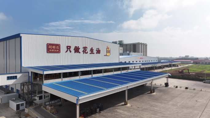 花生油工厂航拍