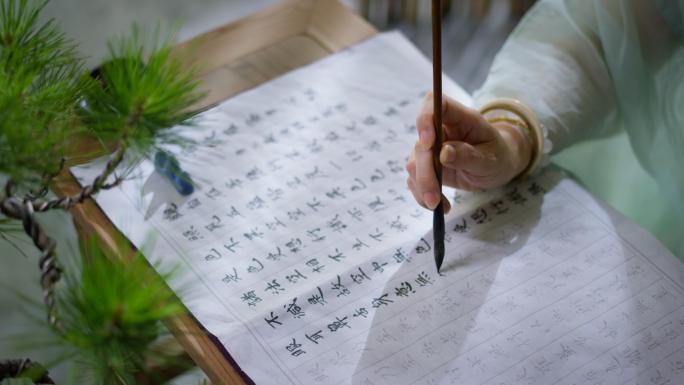笔墨书香 临帖 写毛笔字 看书