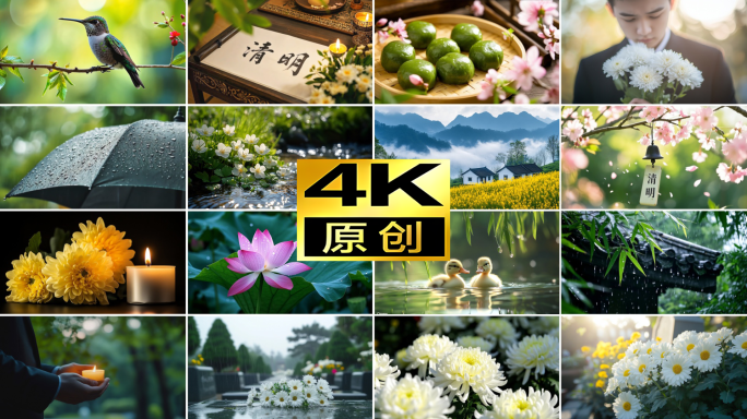 清明节祭奠踏青吃青团 献花追思白菊花