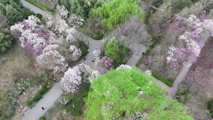 济南花圃公园