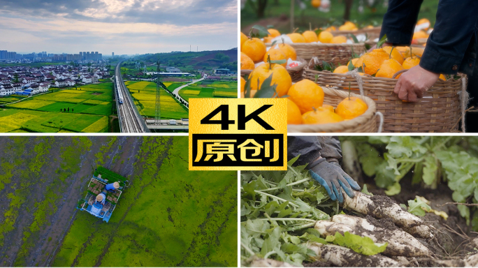 农民丰收乡村振兴幸福生活