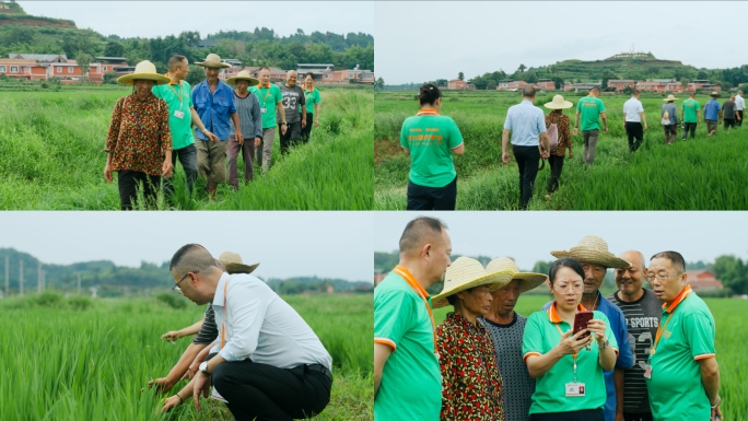 工作人员下乡与农户交流视察田地间合集1