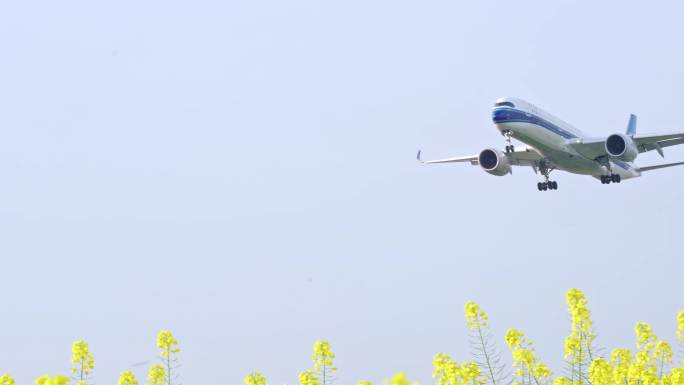 飞机降落 黄昏日落飞机降落  东方航空