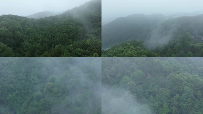 航拍雾气缭绕的山林