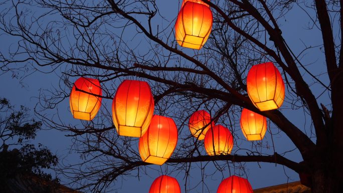 节日灯笼点亮夜空