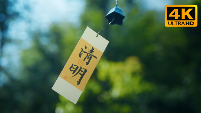 清明｜二十四节气 自然风光春天风景视频