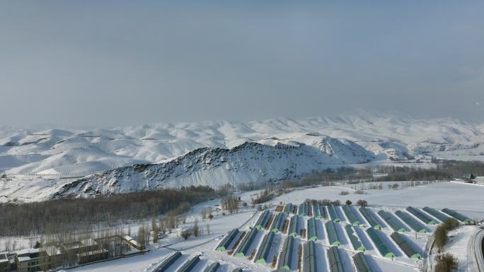 冬季新疆阿勒泰地区大棚菜棚