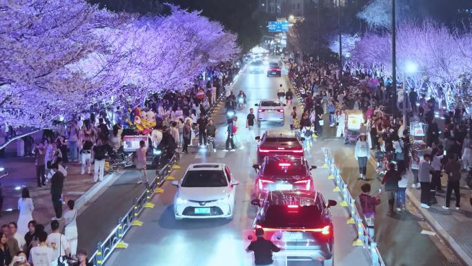 夜樱 武汉 西北湖 车流人潮