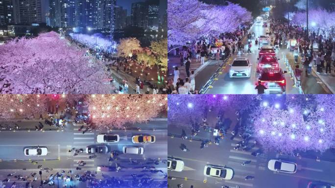 夜樱 武汉 西北湖 车流人潮