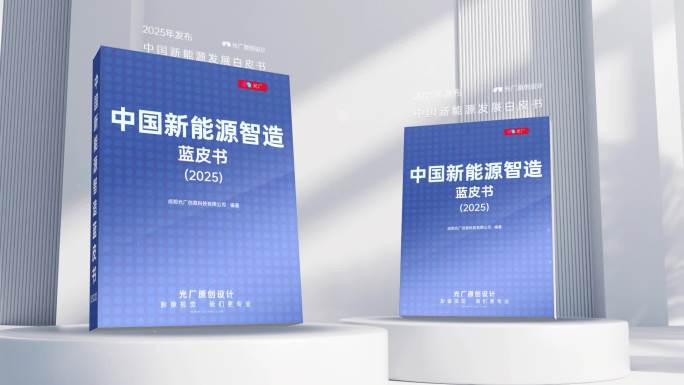 企业立体白皮书蓝皮书模板