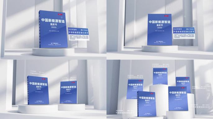 企业立体白皮书蓝皮书模板