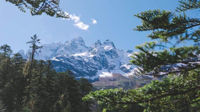 雪山森林自然风光