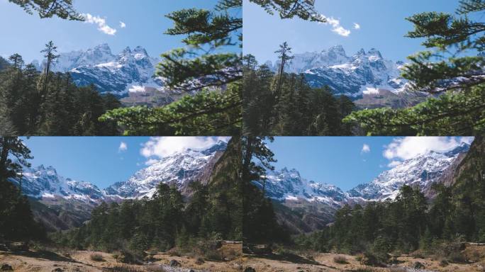 雪山森林自然风光