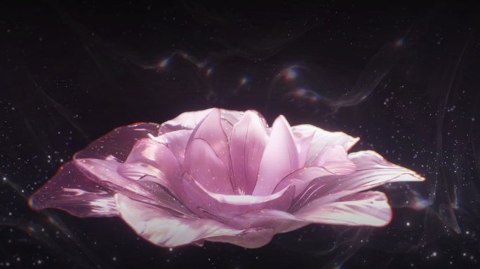 绽放的粉色花朵