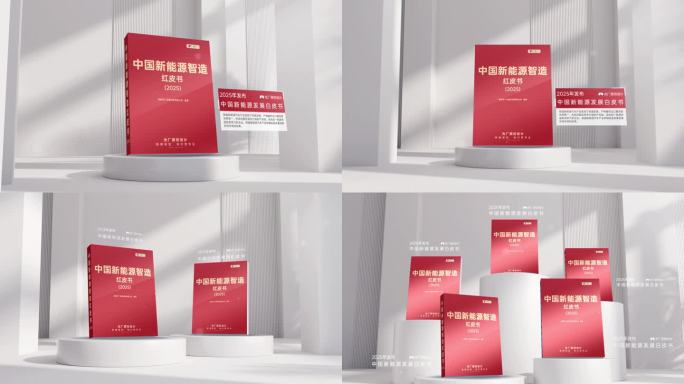 三维立体红皮书本展示