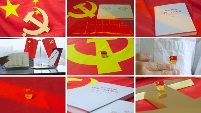 党员学习党二十大精神宣誓