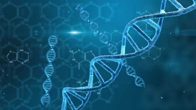科技感DNA基因工程生物学遗传物质细胞