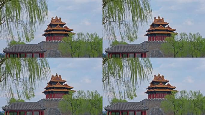 春日故宫角楼柳枝景色