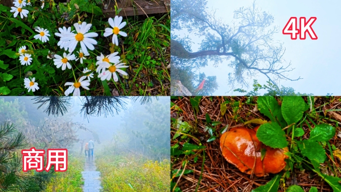 雾中登山看如梦如幻的大山风景