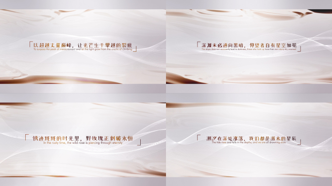 高端质感文字字幕展示