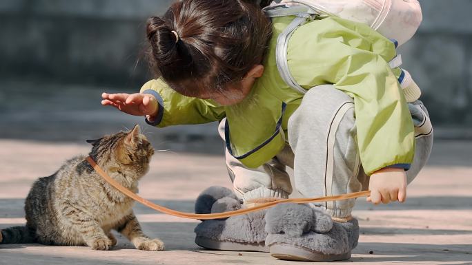 小女孩与猫咪的亲昵互动