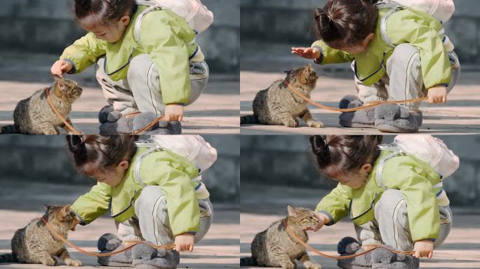 小女孩与猫咪的亲昵互动