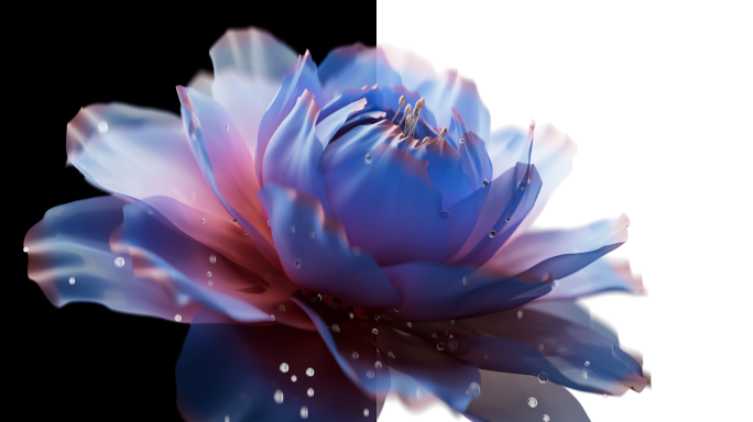蓝色花朵绽放