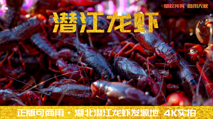 【4K合集】湖北潜江小龙虾发源地4K实拍