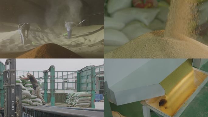 小米小麦谷物封装加工粮食装卸与运输