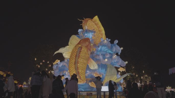 夜幕下的锦鲤灯光秀 年年有余
