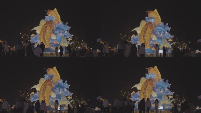 夜幕下的锦鲤灯光秀 年年有余