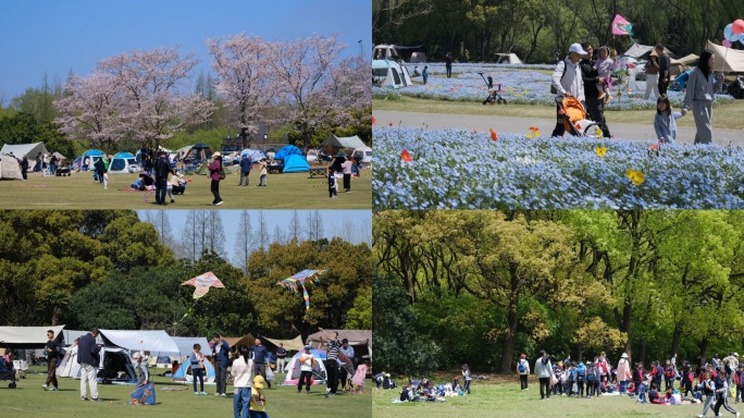 露营野餐家庭幸福生活 小孩玩耍