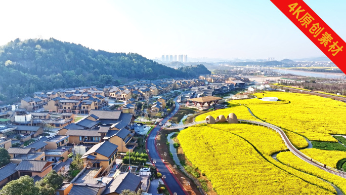 中国民居乡村田园油菜花中国胿面村
