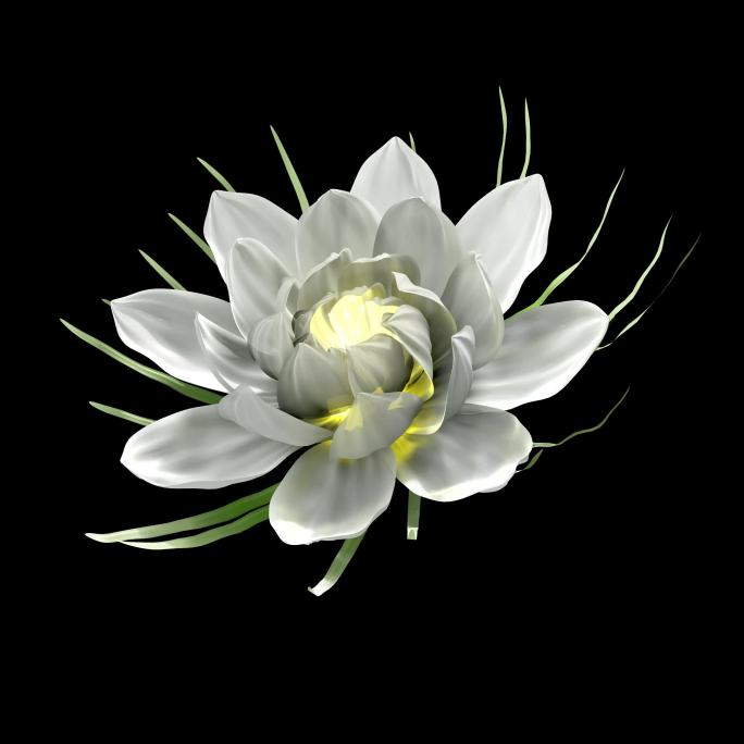 花开C4D文件带渲染花开通道文件