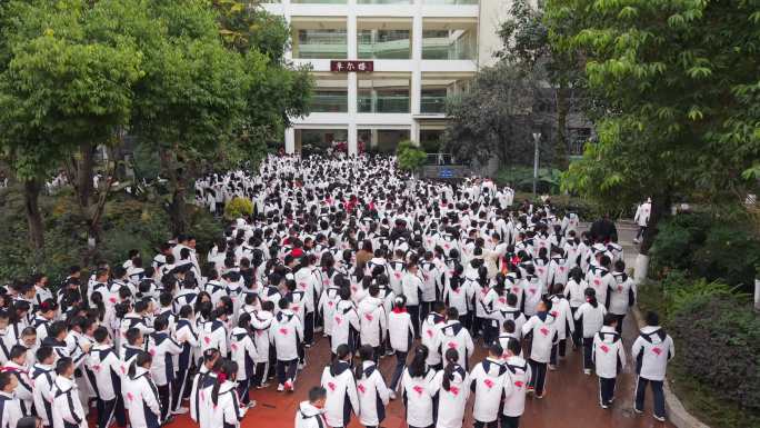 学校学生