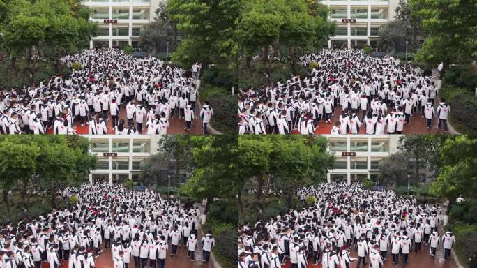 学校学生