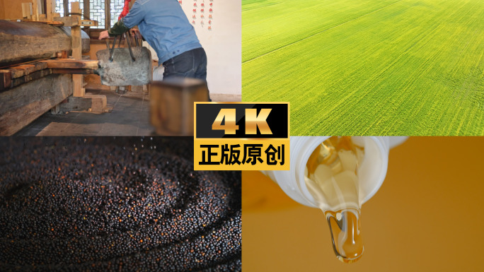 农业油榨油菜籽油食用油粮油油菜种植油菜花