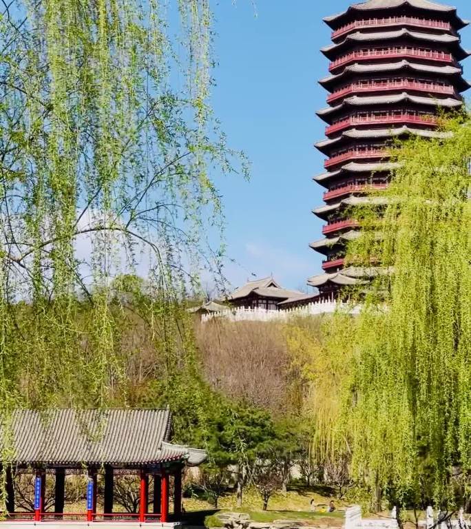 园林博物馆风光