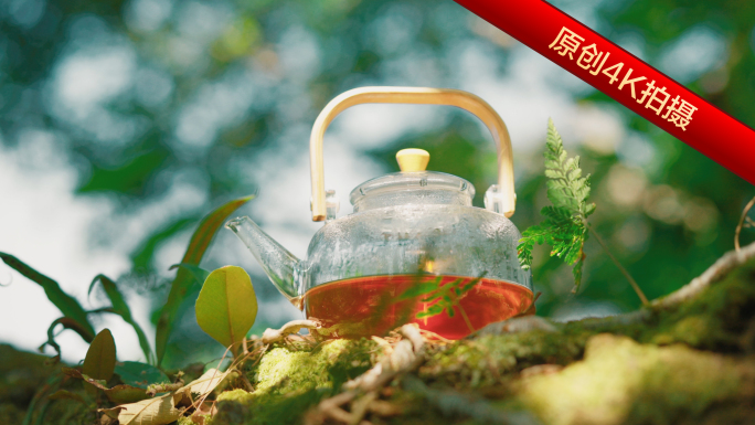 茶壶倒茶自然风光 森林茶饮慢生活
