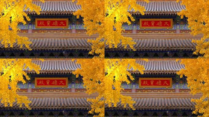 西安西五台云居寺古建筑与秋天金黄银杏树