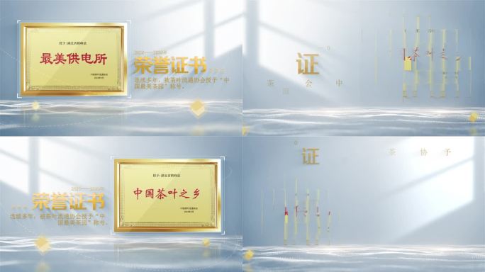 荣誉奖牌资质包装
